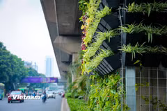 Quản lý môi trường chủ động, kịp thời dựa trên bằng chứng khoa học. (Ảnh: Hoài Nam/Vietnam+)