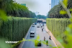 Hà Nội thí điểm tạo mảng xanh tại các khu vực trụ cầu, hầm chui 