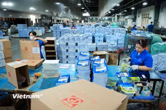 Nhà xuất bản Giáo dục cung ứng đủ sách giáo khoa trước năm học mới 20 ngày