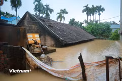 Hà Nội: Lũ sông Bùi dâng cao, nhiều khu vực chìm trong biển nước, cuộc sống người dân đảo lộn