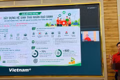 Ông Nguyễn Sỹ Trường, Phó Chủ tịch Hội Chữ thập đỏ Việt Nam trình bày chuyên đề "Những nhiệm vụ trọng tâm và ba khâu đột phá thực hiện Nghị quyết Đại hội XII". (Ảnh: Trần Hương Sơn/Vietnam+)