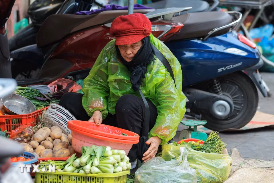 Một nguời bán hàng chợ Đồng Xuân phải mặc thêm áo mưa chống rét. (Ảnh: Hoàng Hiếu/TTXVN)