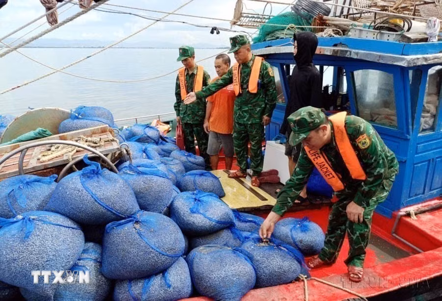 Đồn Biên phòng Cửa khẩu cảng Vạn Gia bắt giữ, xử lý tàu cá đánh bắt sai vùng (2023). (Ảnh: TTXVN phát)