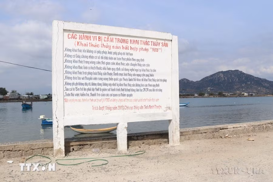 Bảng tuyên truyền về các hành vi bị cấm trong khai thác thủy sản đặt tại xã Tri Hải (Ninh Hải, Ninh Thuận). (Ảnh: Nguyễn Thành/TTXVN)