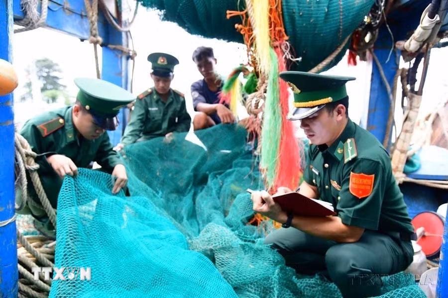 Biên đội III/24 (Hải đoàn Biên phòng 18, trụ sở đóng tại thành phố Vũng Tàu, tỉnh Bà Rịa-Vũng Tàu) kiểm tra vi phạm của tàu cá để làm rõ hành vi khai thác khai thác hải sản bất hợp pháp, không khai báo và không theo quy định (IUU). (Ảnh: TTXVN phát)