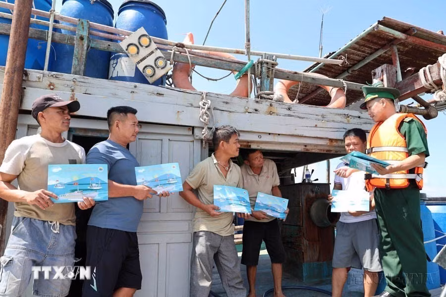 Cán bộ, chiến sỹ Đồn Biên phòng Sơn Trà tuyên truyền về IUU cho bà con ngư dân trên tàu cá ngoại tỉnh vào neo đậu tránh bão tại cửa biển thành phố (2025). (Ảnh: Đỗ Trưởng/TTXVN)