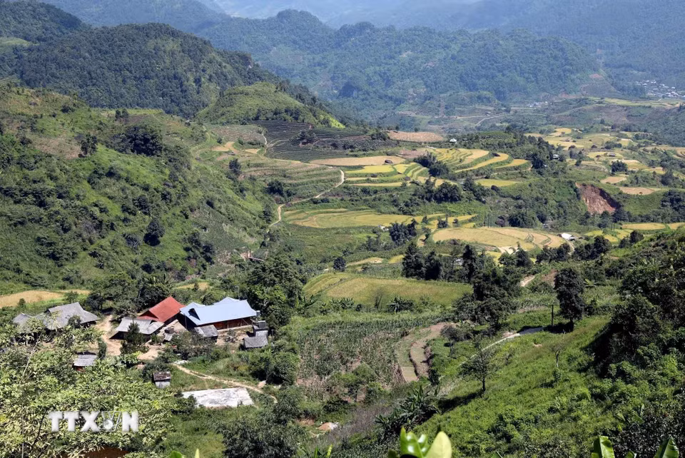 Từ trên bản Lao Chải, du khách phóng tầm mắt ra xa ngắm nhìn những thửa ruộng lúa bậc thang cùng thiên nhiên hùng vĩ. (Ảnh: Quý Trung/TTXVN)