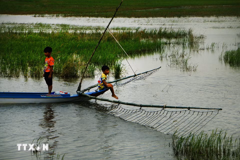 Chủ động giữ nước ngọt chính là chủ động bảo vệ sinh kế, sức khỏe người dân, sản xuất và tương lai phát triển của thành phố. (Ảnh: Duy Khương/TTXVN)
