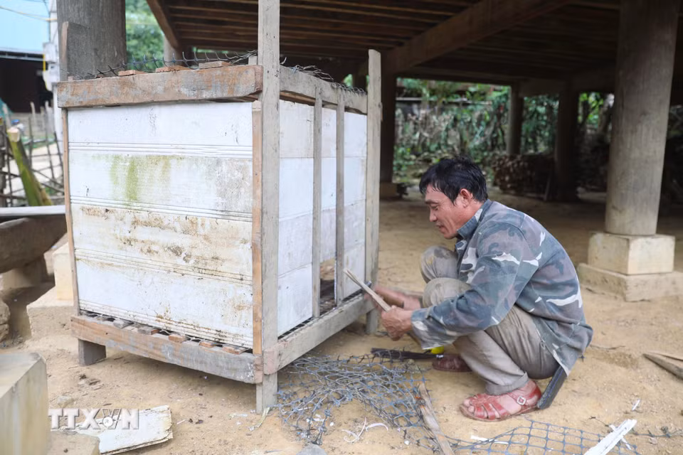 Đường bị chia cắt không thể đi nương rẫy nên đàn ông trong bản Na Ngân (xã Nga My, Nghệ An) tranh thủ làm những công việc nhà, sửa chữa chuồng trại chăn nuôi cho gia đình. (Ảnh: Xuân Tiến/TTXVN)