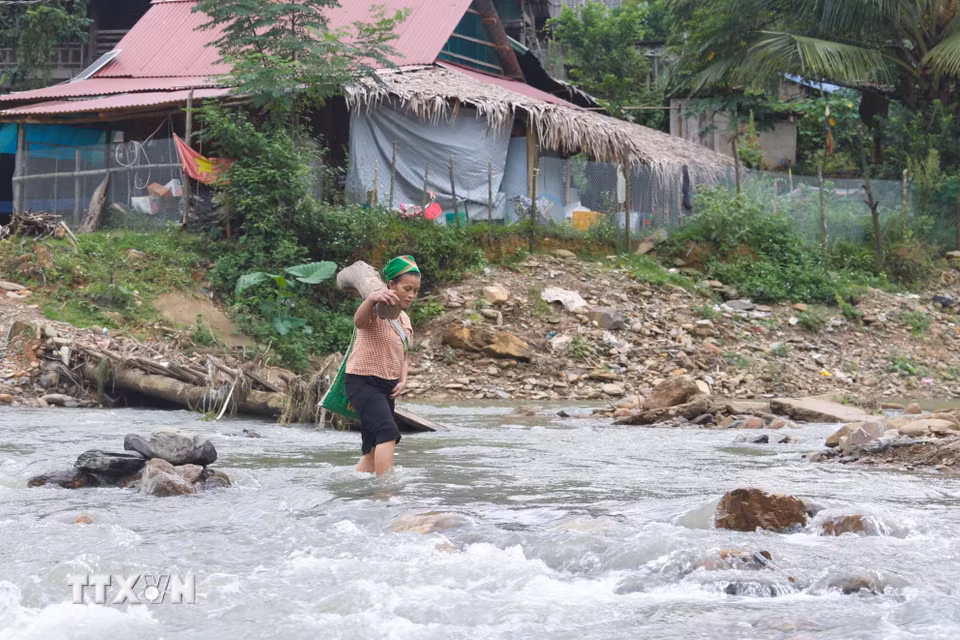 Người dân mang thân gỗ về làm củi đun phảu vất vả lội suối khi cầu tạm đấu nối 2 cụm dân cư của bản bị dòng chảy mạnh của suối Nậm Ngân cuốn trôi. (Ảnh: Xuân Tiến/TTXVN)