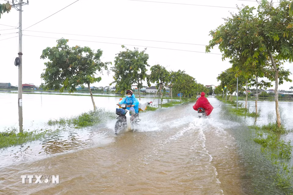 Nhiều đoạn đường dân sinh trên địa bàn các xã Diễn Châu, Đức Châu, An Châu (Nghệ An) bị ngập sâu khiến việc tham gia giao thông của người dân gặp nhiều khó khăn. (Ảnh: Xuân Tiến/TTXVN)