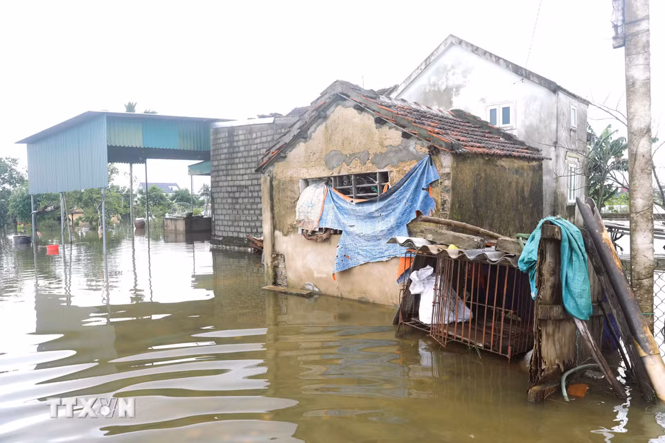 Một ngôi nhà thuộc vùng trũng trên địa bàn xã Đức Châu (Nghệ An) bị ngập sâu trong nước. (Ảnh: Xuân Tiến/TTXVN)