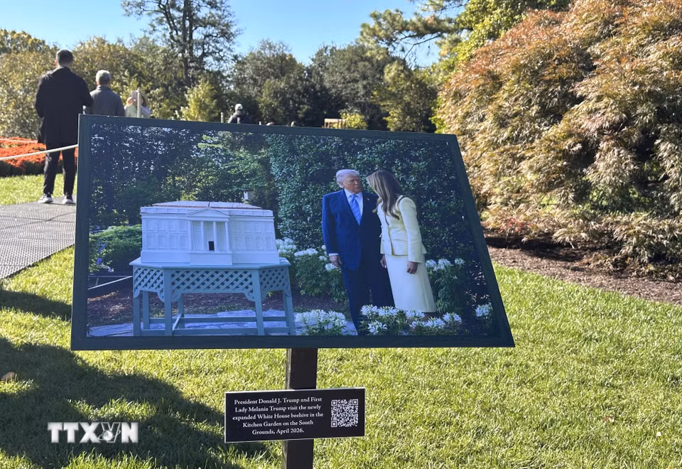 Bức ảnh ghi lại khoảnh khắc Tổng thống Donald Trump và Đệ nhất Phu nhân Melania Trump thăm khu vực tổ ong được mở rộng tại Vườn rau Nhà Trắng vào tháng 4/2026. (Ảnh: Ngọc Quang/TTXVN)