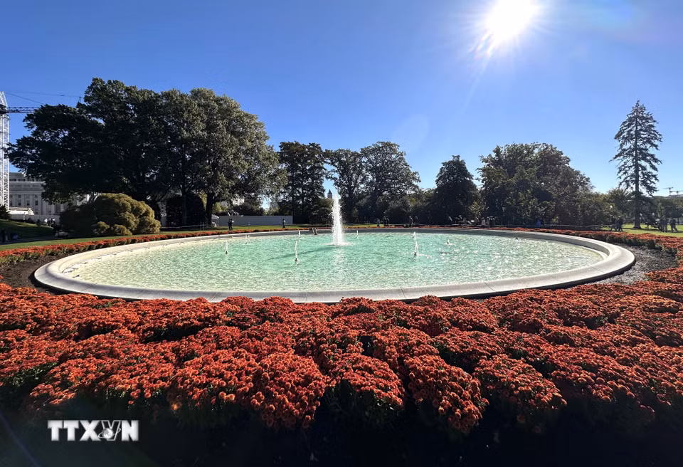Đài phun nước tại bãi cỏ phía Nam (South Lawn) trong khuôn viên Nhà Trắng, được bao quanh bởi những thảm hoa đại cúc màu đỏ cam. (Ảnh: Ngọc Quang/TTXVN)