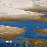 Mực nước sông Danube xuống thấp tại Rasova, Romania. (Ảnh: THX/TTXVN phát)