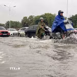 (Ảnh minh họa: Phan Phương/TTXVN)