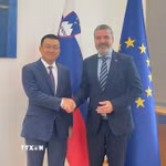 Đại sứ Việt Nam tại Áo kiêm nhiệm Slovenia Vũ Lê Thái Hoàng chào xã giao và làm việc với Bộ trưởng Ngoại giao Slovenia Tone Kajzer. (Ảnh: TTXVN phát)