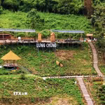 Chủ tiệm cà phê Lưng Chừng (xã Tri Tôn, An Giang) tự ý chuyển đất rừng phòng hộ sang đất phi nông nghiệp bị xử phạt vi phạm hành chính. (Ảnh: TTXVN phát)