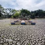 Hiện tượng El Nino gây hạn hán nghiêm trọng tại Costa Rica. (Ảnh minh họa: AFP/TTXVN)