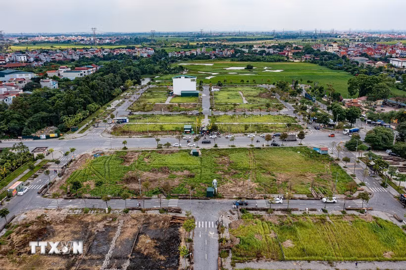 (Ảnh minh họa: Trung Nguyên/TTXVN)