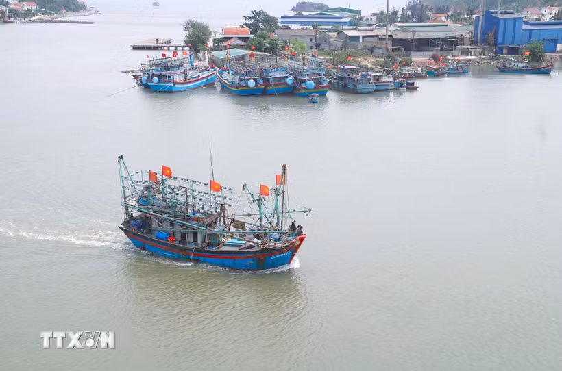 Tàu cá công suất lớn đang vào cửa biển Lạch Quèn (xã Quỳnh Phú, tỉnh Nghệ An). (Ảnh: Xuân Tiến/TTXVN)