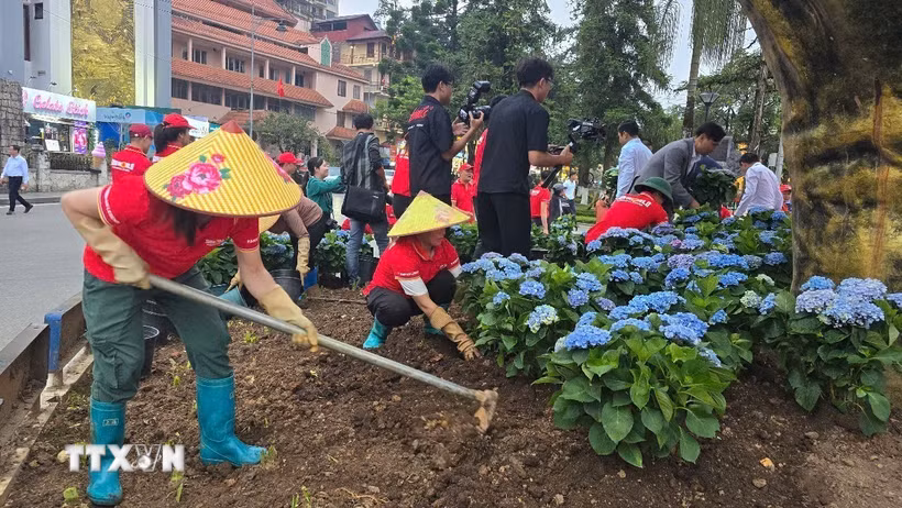Trồng cây hoa khởi động chương trình “Green Sa Pa”. (Ảnh: Hương Thu/TTXVN)
