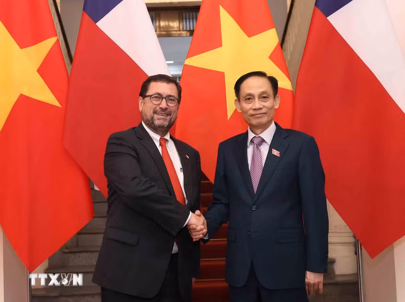 Bộ trưởng Ngoại giao Lê Hoài Trung với Bộ trưởng Ngoại giao Cộng hòa Chile Francisco Pérez Mackenna. (Ảnh: An Đăng/TTXVN)