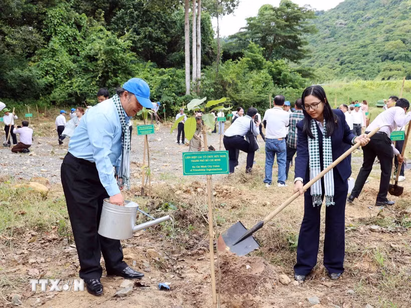 Lãnh đạo HUFO trồng cây tại "Vườn cây hữu nghị" của Đặc khu Côn Đảo. (Ảnh: Xuân Khu/TTXVN)