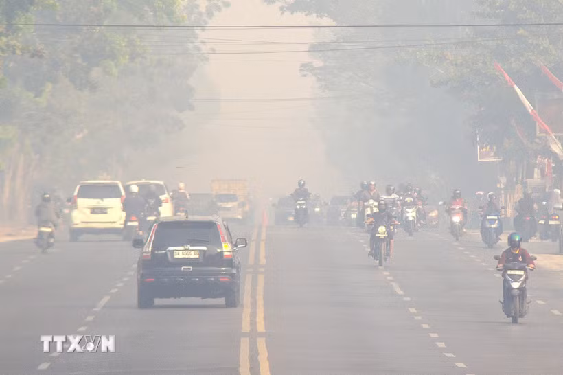 Khói mù dày đặc bao phủ tại Palangka Raya, Trung Kalimantan, Indonesia. (Ảnh: THX/TTXVN phát)