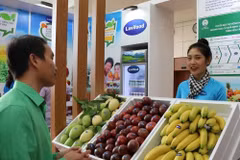 Chiến lược dữ liệu nông nghiệp-nông dân-nông thôn mục tiêu xây dựng hệ sinh thái dữ liệu nông nghiệp liên thông, tin cậy, bảo mật và trí tuệ. (Ảnh: Vietnam+)