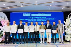 VISRAE ra mắt Ban Doanh nghiệp nhằm thúc đẩy kết nối chuỗi cung ứng và chuyển đổi xanh. (Ảnh: Vietnam+)