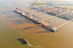 Gemadept xác định công nghệ, con người và quản trị là ba trụ cột nâng cao năng lực cạnh tranh. (Ảnh: Vietnam+)