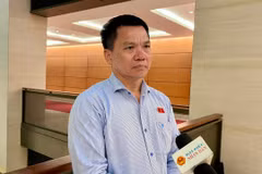 Đại biểu Dương Khắc Mai cho biết Dự án Luật Cán bộ, Công chức (sửa đổi) lần này thực sự là một bước đột phá, thể hiện tư duy đổi mới mạnh mẽ trong công tác cán bộ. (Ảnh: Vietnam+)