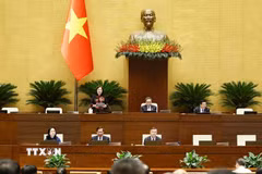  Phó Chủ tịch Quốc hội Nguyễn Thị Hồng phát biểu. (Ảnh: Doãn Tấn/TTXVN)