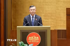 Bộ trưởng Bộ Tài chính Ngô Văn Tuấn phát biểu giải trình, làm rõ một số vấn đề đại biểu Quốc hội nêu. (Ảnh: Doãn Tấn/TTXVN)