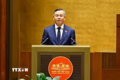 Bộ trưởng Bộ Tài chính Ngô Văn Tuấn, thừa ủy quyền của Thủ tướng Chính phủ trình bày tờ trình về 05 dự án: Luật Ngân sách nhà nước (hợp nhất); Luật Đấu thầu (sửa đổi); Luật sửa đổi, bổ sung một số điều của Luật Đầu tư; Luật sửa đổi, bổ sung một số điều của Luật Thuế thu nhập doanh nghiệp, Luật Thuế sử dụng đất phi nông nghiệp, Luật Thuế thu nhập cá nhân; Luật Trưng mua, trưng dụng tài sản (sửa đổi). (Ảnh: Doãn Tấn/TTXVN)