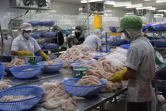 Bình quân mỗi tháng có 25,7 nghìn doanh nghiệp gia nhập hoặc tái gia nhập thị trường. (Ảnh: Vietnam+)