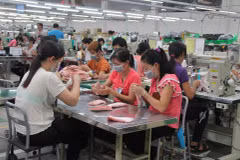 Nếu đặt trong tương quan với tháng 12/2025, các chỉ số về số lượng doanh nghiệp, vốn và lao động lần lượt tăng 40,9%, 9,0% và 7,5%. (PV)