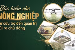 Vai trò của bảo hiểm nông nghiệp trong quản lý rủi ro, giúp nông dân chủ động ứng phó thiên tai và giảm thiểu thiệt hại kinh tế. (Ảnh: AI/Vietnam+)