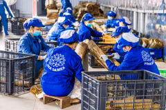 Hiện có khoảng 249.000 doanh nghiệp SME trong ngành thương mại chưa vay vốn. (Ảnh: Vietnam+)