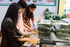 Chính sách giảm thuế 30% từ 2026 hỗ trợ doanh nghiệp nhỏ, cá nhân kỳ vọng sẽ đẩy mạnh phát triển kinh tế. (Ảnh: Vietnam+)