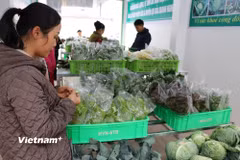 Chính sách giảm thuế 30% hỗ trợ hộ kinh doanh năm 2026–2027. (Ảnh: TTXVN)