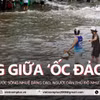 Người dân Thủ đô như sống giữa 'ốc đảo' vì nước sông Nhuệ dâng cao 