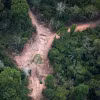 Khoảng rừng Amazon bị chặt phá tại bang Para, Brazil. (Ảnh: AFP/ TTXVN)