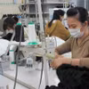 Thực tập sinh Việt Nam tại Công ty TNHH Mishow (Tokyo). (Ảnh: Đào Thanh Tùng/TTXVN)