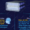 Tập đoàn Intel xây dựng hệ thống mô phỏng thần kinh lớn nhất thế giới