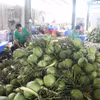 Sơ chế dừa tươi xuất khẩu ở Công ty Trách nhiệm Hữu hạn Trái cây Mekong, xã Hữu Định, huyện Châu Thành (tỉnh Bến Tre). (Ảnh: Công Trí/TTXVN)