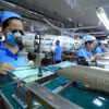 Các bộ trưởng Suriname đánh giá cao sự phát triển vượt bậc của Việt Nam. (Ảnh: Tuấn Anh/TTXVN)