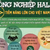 Thị trường Halal: Tiềm năng "nghìn tỷ USD" chưa được khai phá