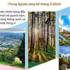 Agoda: Đà Lạt lọt Top 9 điểm đến được yêu thích tại châu Á